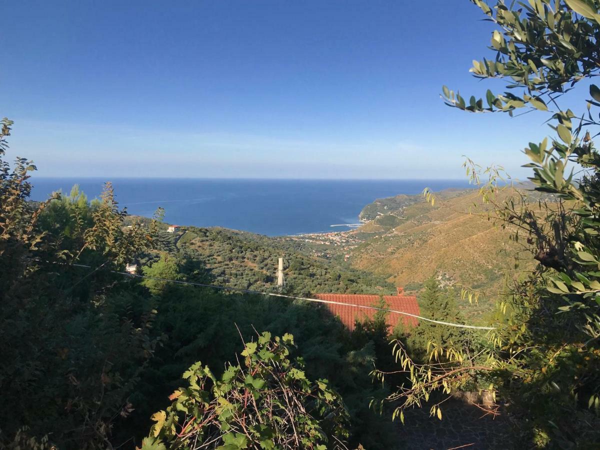 산 마우로 실렌토 Cilento B&B 외부 사진